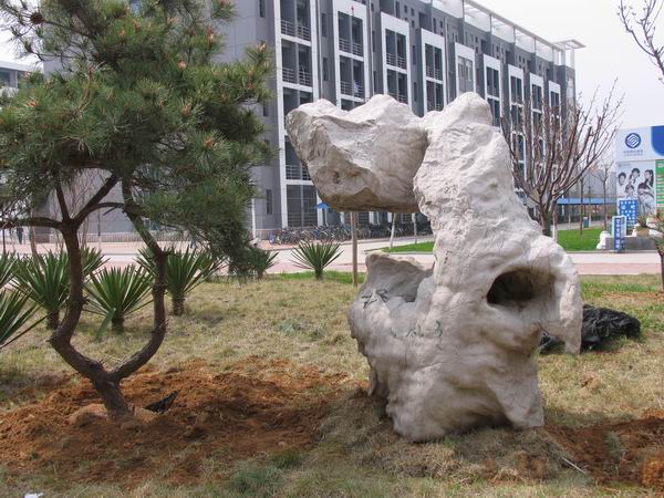 ���ݾ���ʯ