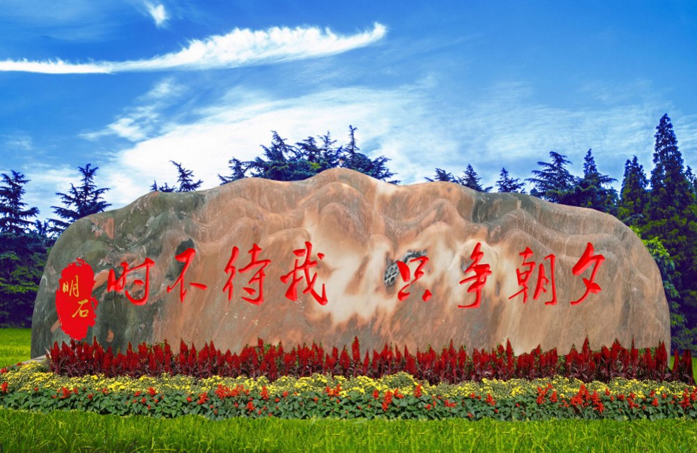 ��������ʯ�۸�