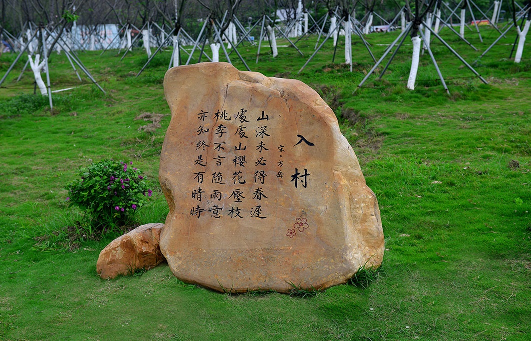 武汉草坪石